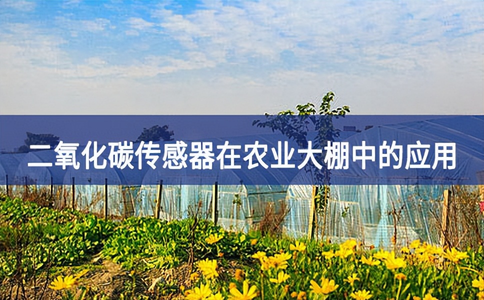 二氧化碳傳感器在農業(yè)大棚的應用