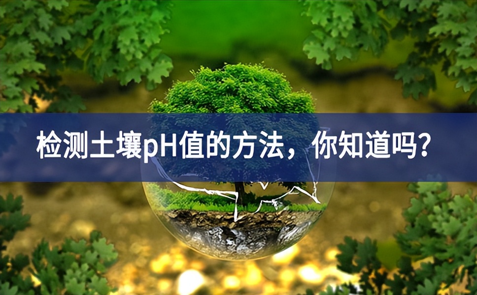 檢測土壤pH值的方法，你知道嗎？