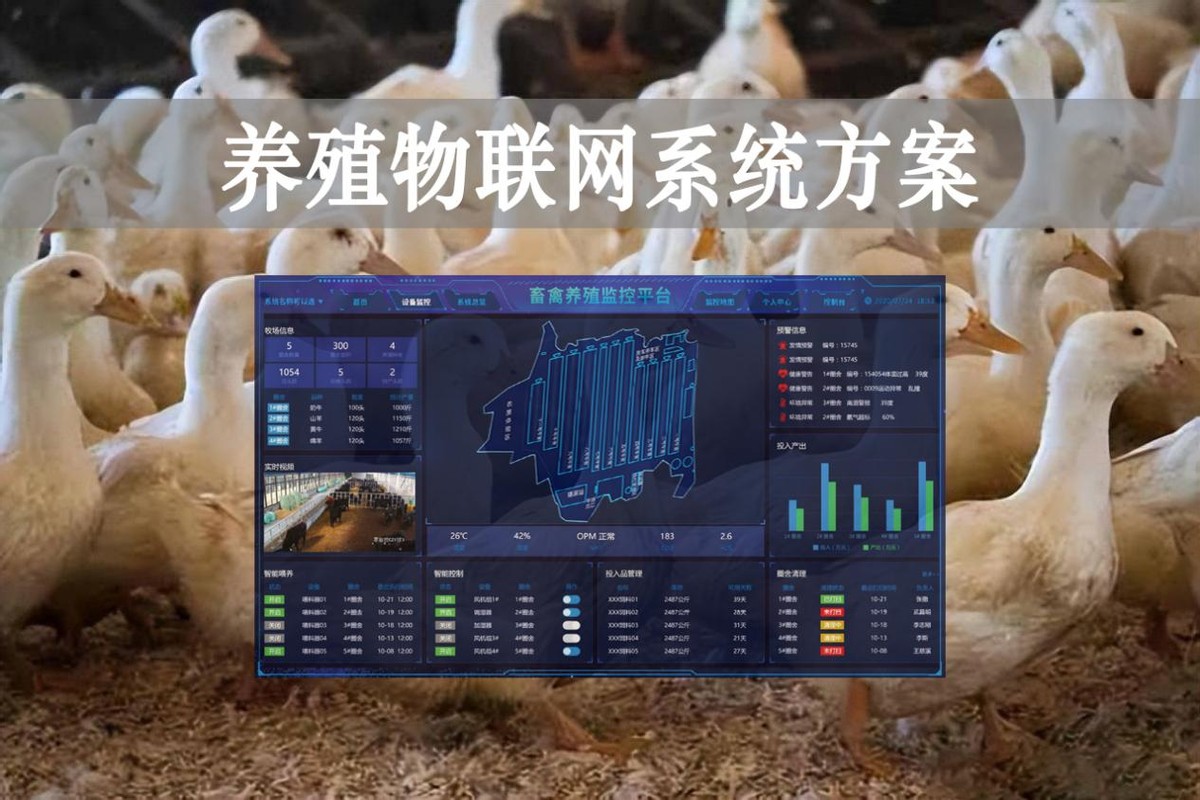 【智慧養(yǎng)殖】數(shù)字經(jīng)濟(jì)時(shí)代到來，養(yǎng)殖物聯(lián)網(wǎng)系統(tǒng)方案來了