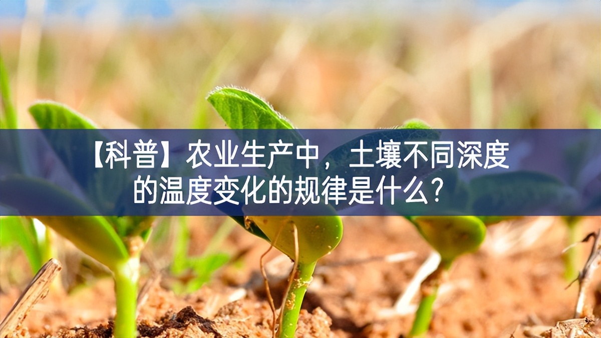 【科普】農(nóng)業(yè)生產(chǎn)中，土壤不同深度的溫度變化的規(guī)律是什么？