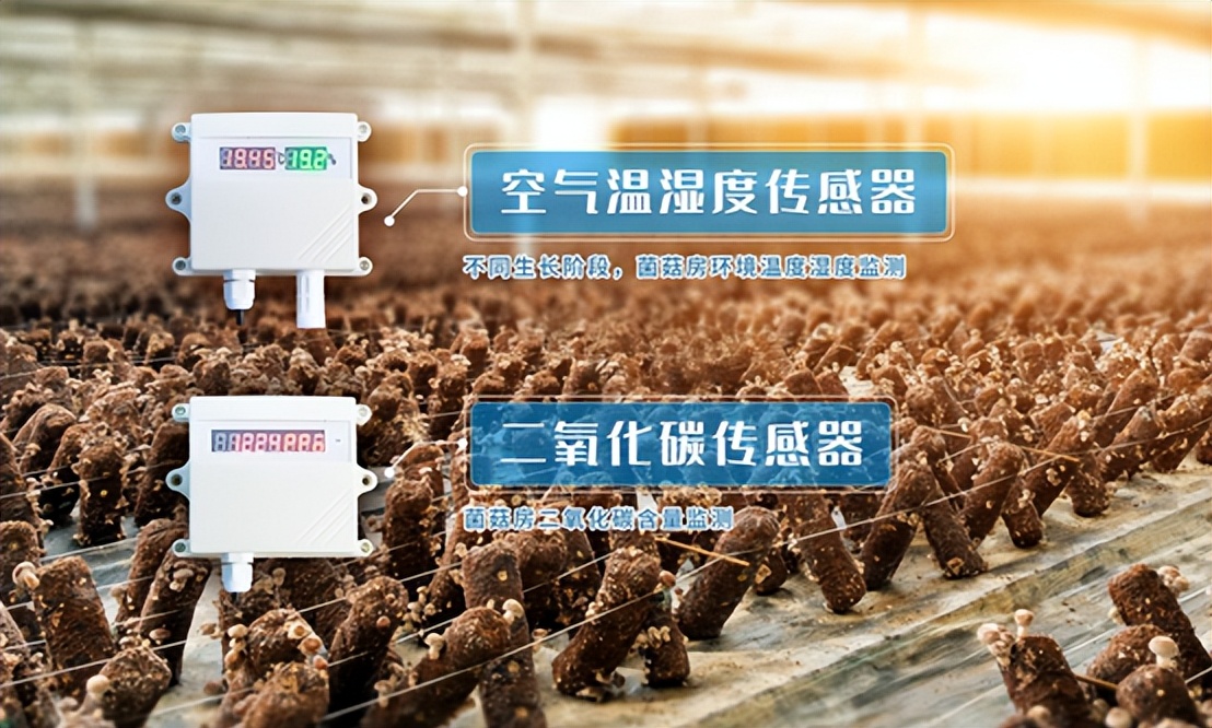 空氣溫濕度傳感器、二氧化碳傳感器