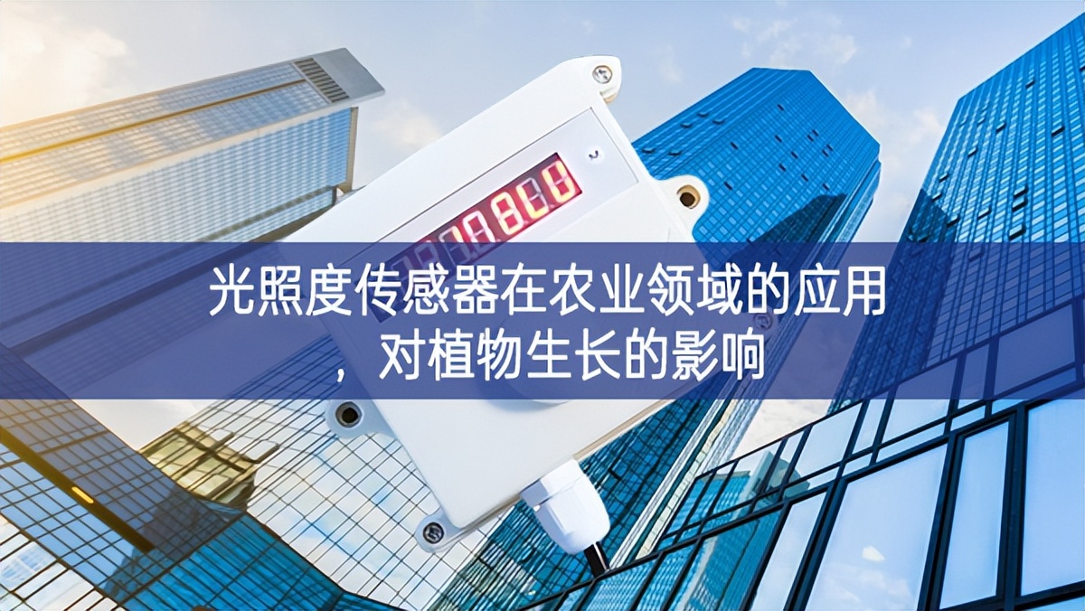 光照度傳感器在農(nóng)業(yè)領(lǐng)域的應(yīng)用，對(duì)植物生長(zhǎng)的影響