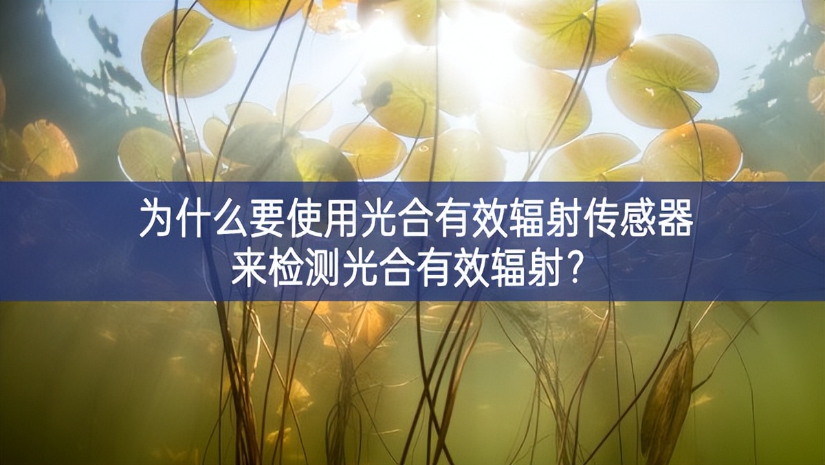 為什么要使用光合有效輻射傳感器來檢測光合有效輻射？