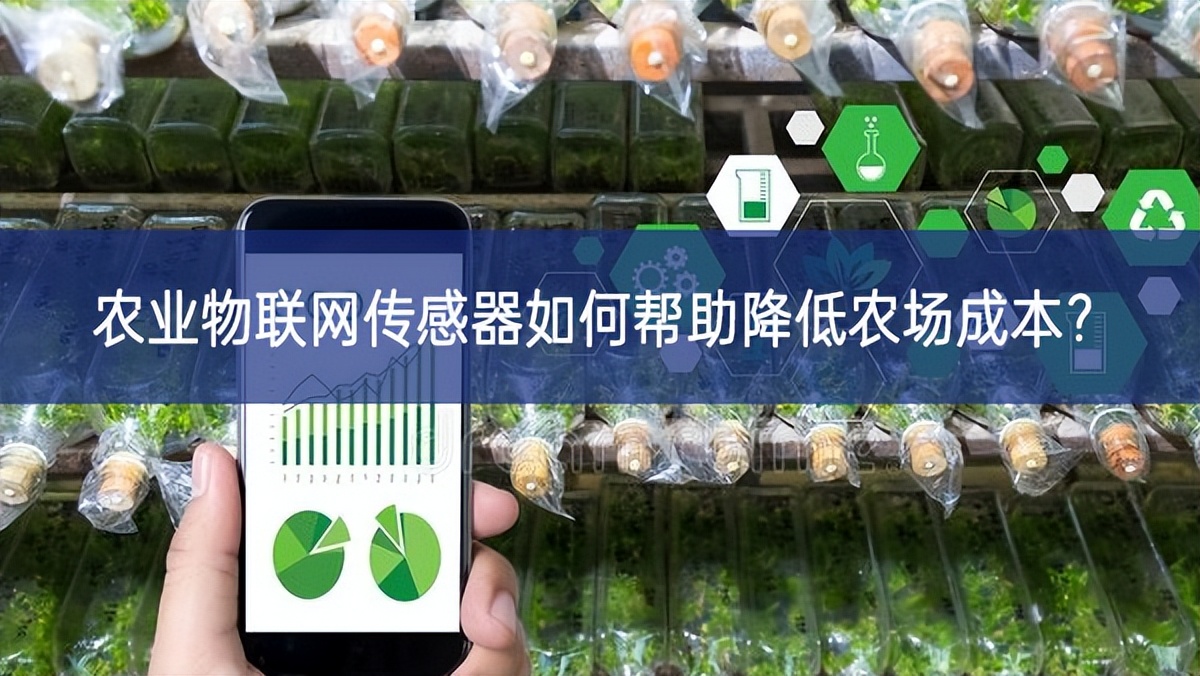 農(nóng)業(yè)物聯(lián)網(wǎng)傳感器如何幫助降低農(nóng)場(chǎng)成本？