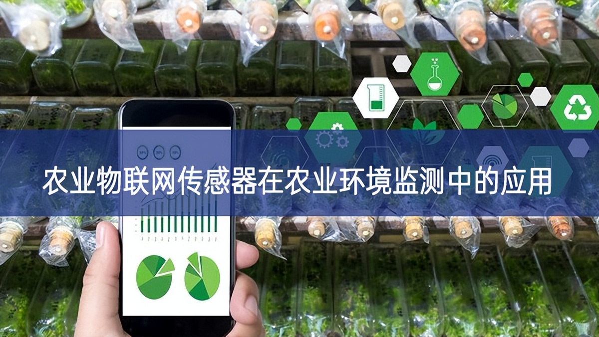 農(nóng)業(yè)物聯(lián)網(wǎng)傳感器在農(nóng)業(yè)環(huán)境監(jiān)測中的應(yīng)用