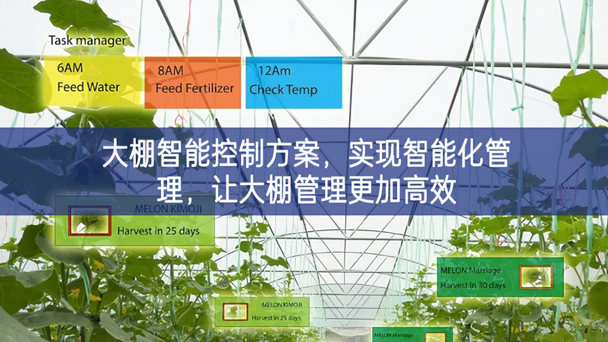 大棚智能控制方案，實現(xiàn)智能化管理，讓大棚管理更加高效