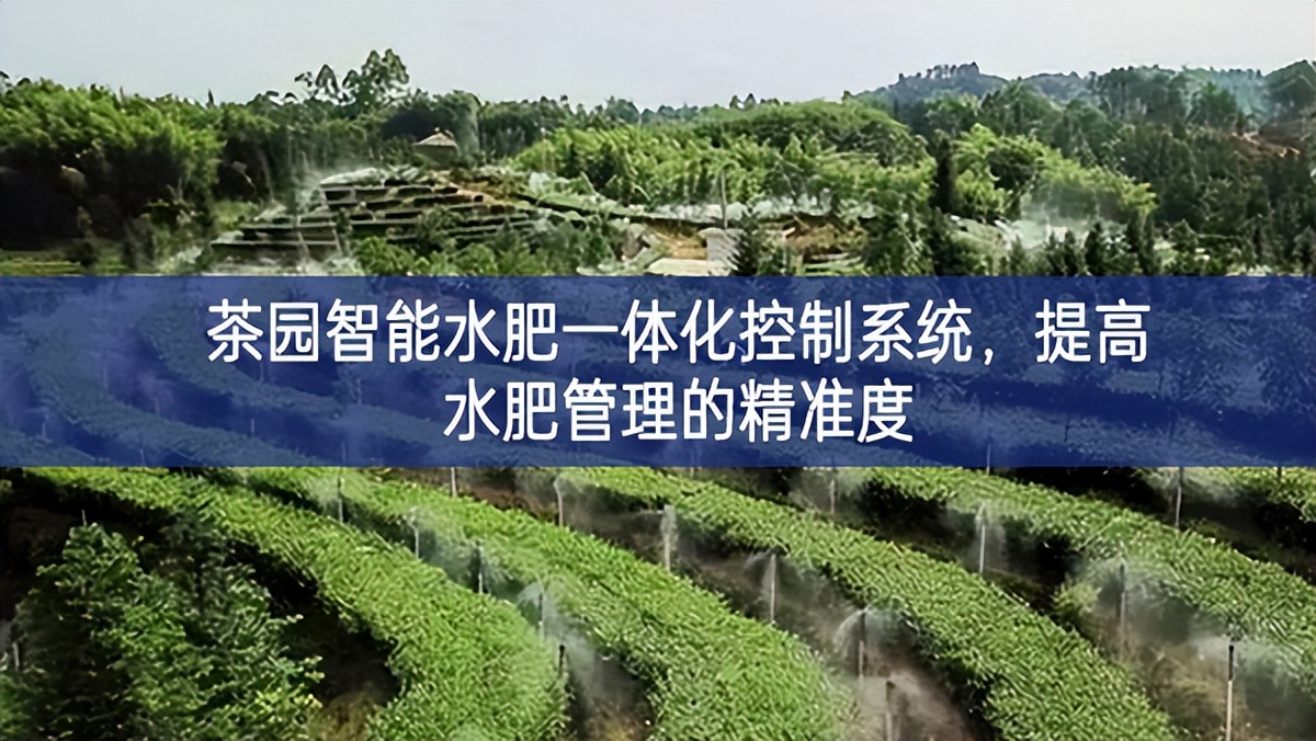 茶園智能水肥一體化控制系統(tǒng)，提高水肥管理的精準(zhǔn)度