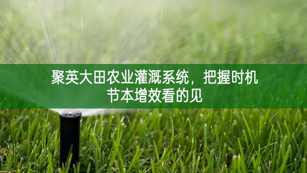 聚英大田農(nóng)業(yè)灌溉系統(tǒng)，把握時(shí)機(jī)節(jié)本增效看的見