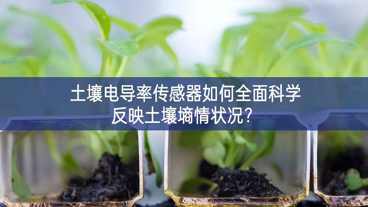 土壤電導率傳感器如何全面科學反映土壤墑情狀況？