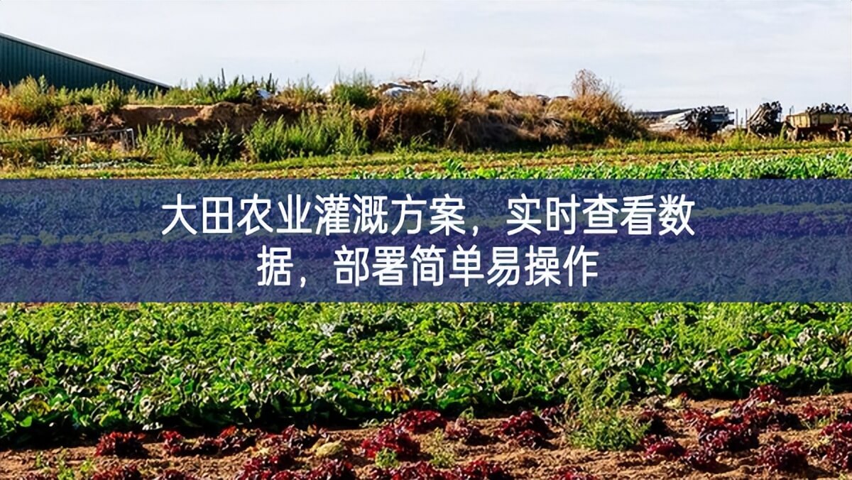 大田農(nóng)業(yè)灌溉方案，實時查看數(shù)據(jù)，部署簡單易操作