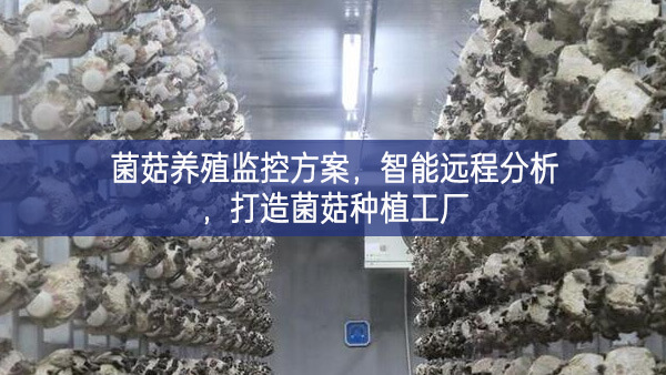 菌菇養(yǎng)殖監(jiān)控方案，智能遠(yuǎn)程分析，打造菌菇種植工廠