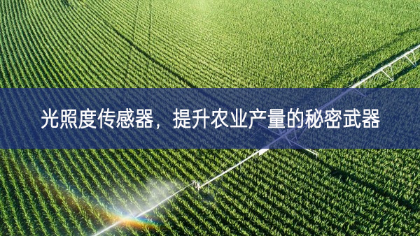 光照度傳感器，提升農(nóng)業(yè)產(chǎn)量的秘密武器