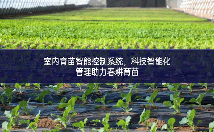 室內(nèi)育苗智能控制系統(tǒng)，科技智能化管理助力春耕育苗
