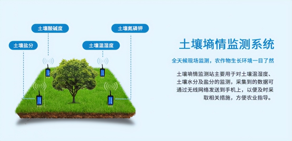 配合土壤墑情系統(tǒng)，維持育苗環(huán)境