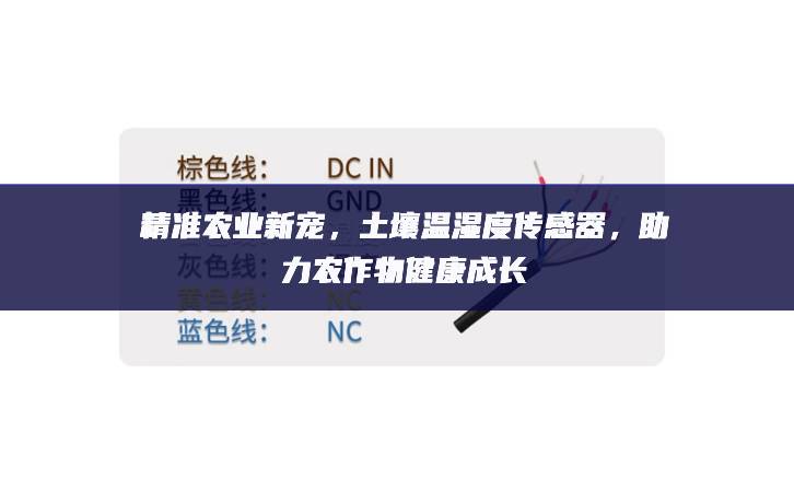 精準農(nóng)業(yè)新寵，土壤溫濕度傳感器，助力農(nóng)作物健康成長