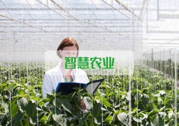 春雷一聲 驚蟄到，聚英智慧農(nóng)業(yè)系統(tǒng)助力農(nóng)業(yè)春耕
