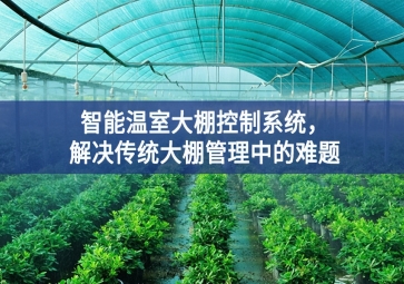 「智慧農(nóng)業(yè)」智能溫室大棚控制系統(tǒng)，解決傳統(tǒng)大棚管理中的難題