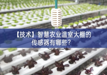 「技術(shù)」智慧農(nóng)業(yè)溫室大棚的傳感器有哪些？