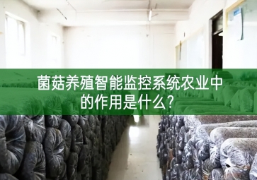 「智慧養(yǎng)殖」菌菇養(yǎng)殖智能監(jiān)控系統(tǒng)在農(nóng)業(yè)中的作用是什么？
