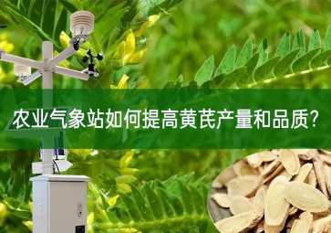 農(nóng)業(yè)氣象站如何提高黃芪產(chǎn)量和品質(zhì)？