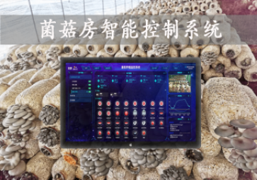 「智慧養(yǎng)殖」菌菇房智能控制系統(tǒng)，智能控溫，助力大棚食用菌種植
