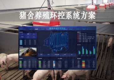 「智慧養(yǎng)殖」豬舍養(yǎng)殖環(huán)控系統(tǒng)方案，獲取環(huán)境參數(shù)，數(shù)字化畜牧業(yè)