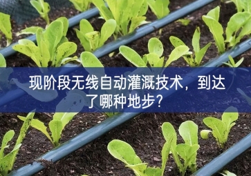 現(xiàn)階段無線自動(dòng)灌溉技術(shù)，到達(dá)了哪種地步？