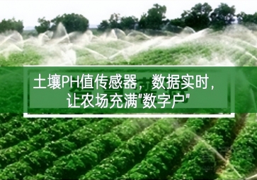 土壤PH值傳感器，數(shù)據(jù)實時，讓農(nóng)場充滿"數(shù)字戶"