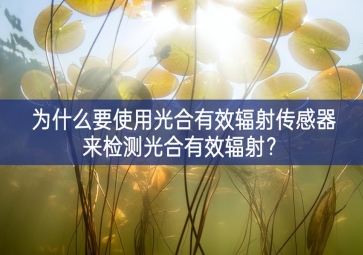 為什么要使用光合有效輻射傳感器來檢測光合有效輻射？