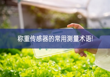 稱(chēng)重傳感器的常用測(cè)量術(shù)語(yǔ)!