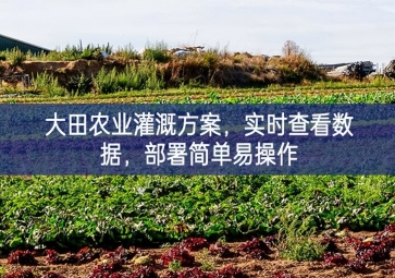 「智慧農(nóng)業(yè)」大田農(nóng)業(yè)灌溉方案，實(shí)時(shí)查看數(shù)據(jù)，部署簡單易操作